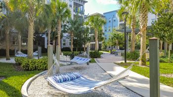 Tranquil hammocks for relaxation